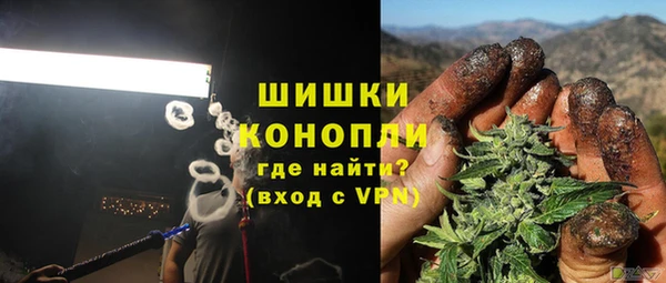 ешки Арсеньев