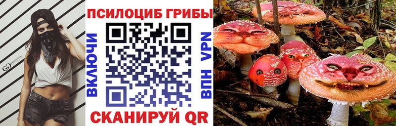 Псилоцибиновые грибы MAGIC MUSHROOMS  Славск 